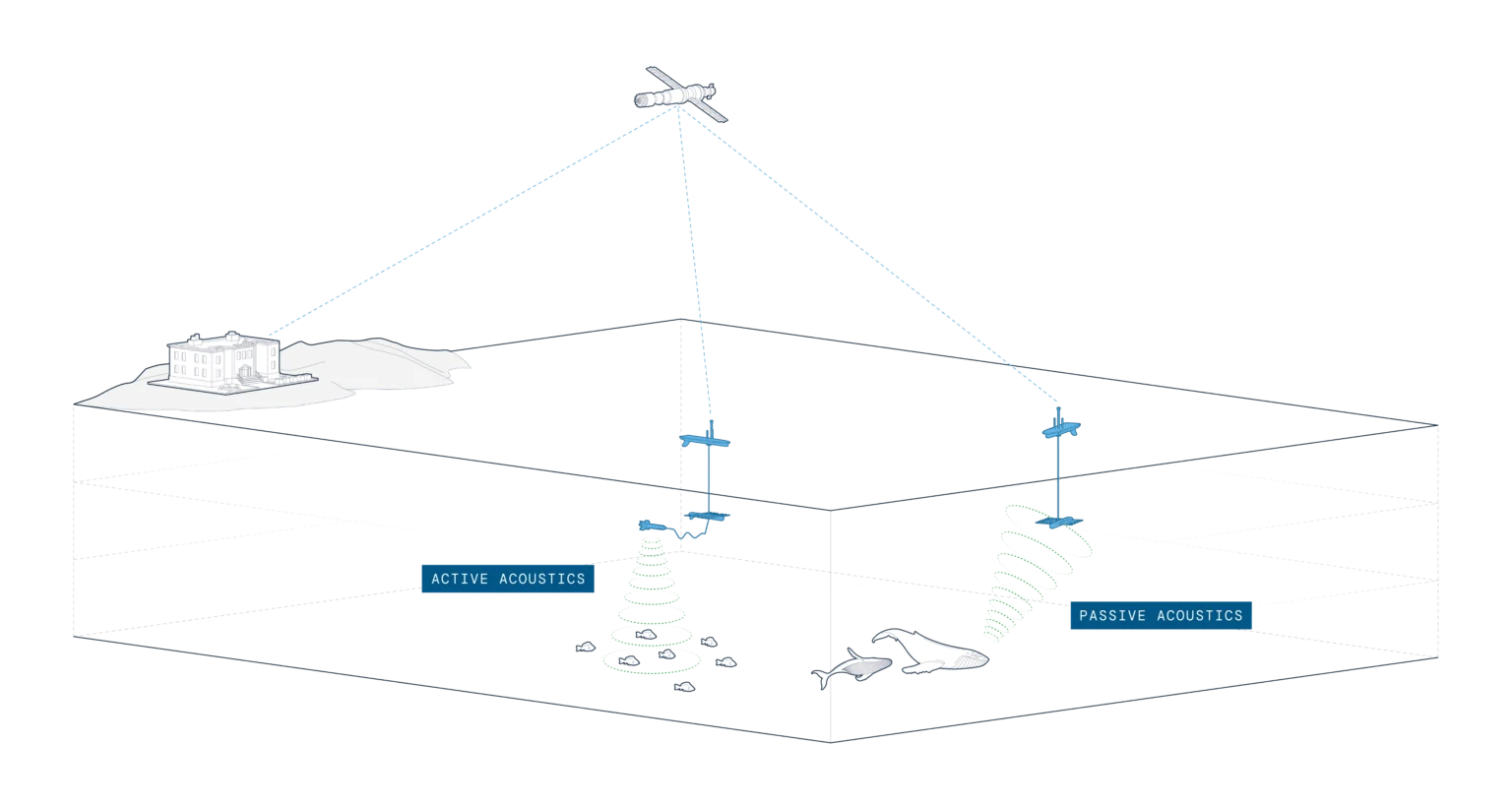 Science Marine Acoustics