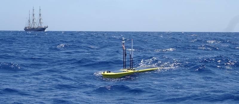 Monitoring Marine Litter in the Mediterranean Sea