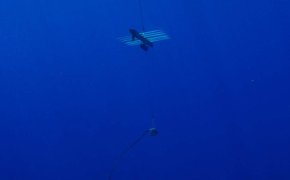NOAA Marine Ecosystem Health Assessment Utilizes Water Column Profiles Collected by Wave Gliders
