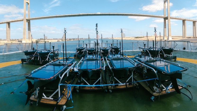 Fleet Formations for Seismic Surveys
