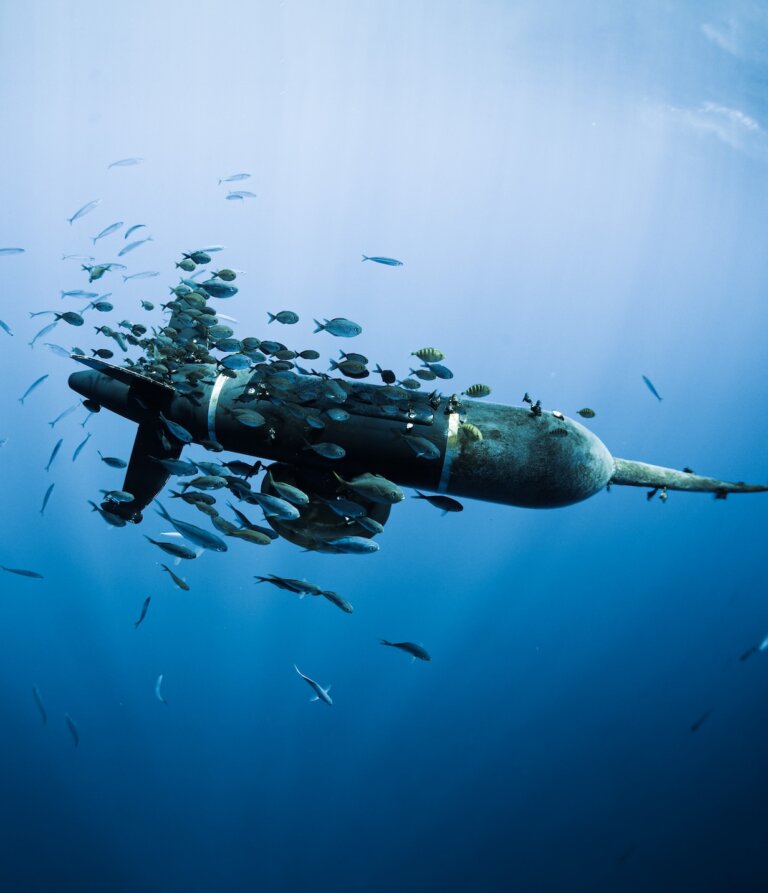 Quiet by Design: Wave Gliders for Acoustic Monitoring