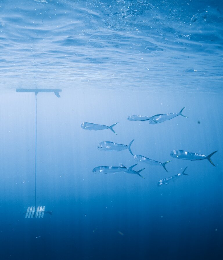 On Track with Wave Gliders