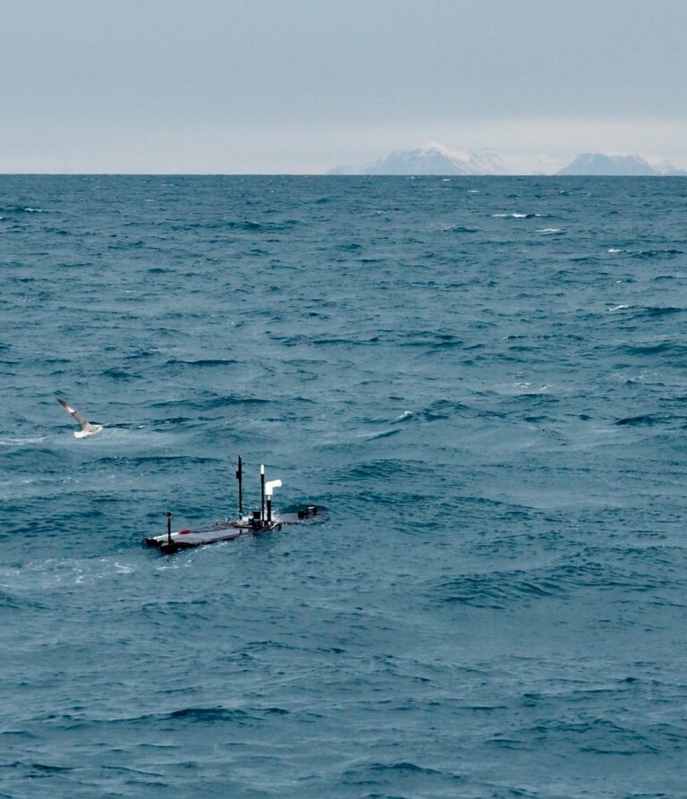 Scale Your Observations with Wave Gliders