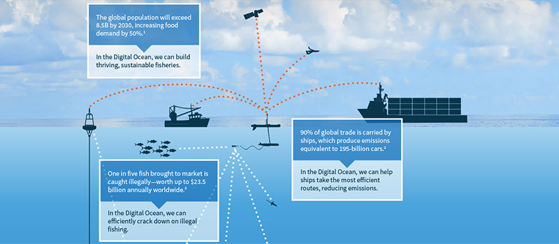 Blog - Digital Ocean Infographic header