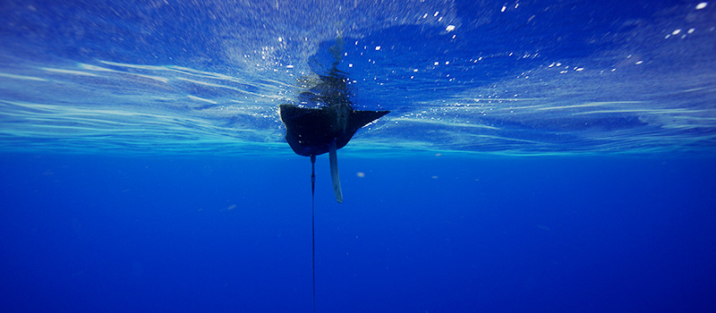 Research Roundup: Acoustic Tag Tracking, Animal Biotelemetry, and GNSS