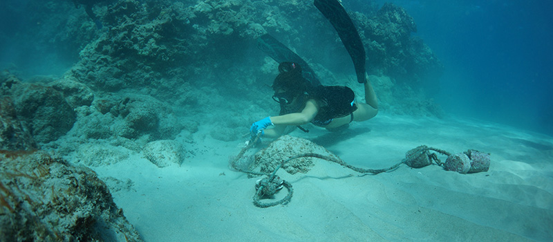 World Oceans Day 2019: Our Big Island Team Dives to Clean Up the Ocean