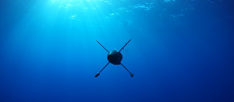 Wired or Wireless – Networking and Harvesting Subsea Data