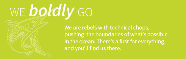We Boldly Go
