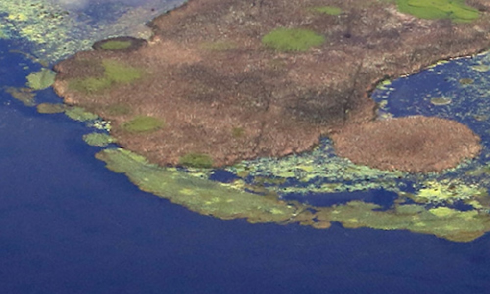 On-Demand Marine Water Sampling