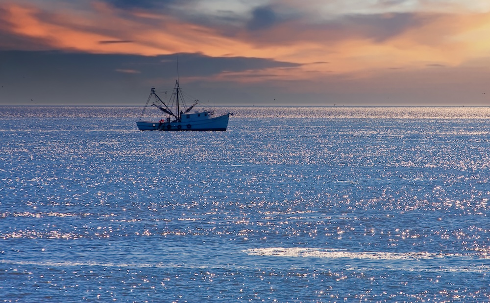 An Admiral’s Perspective: Cost-Effective Monitoring of Australia’s Vast Ocean Territory