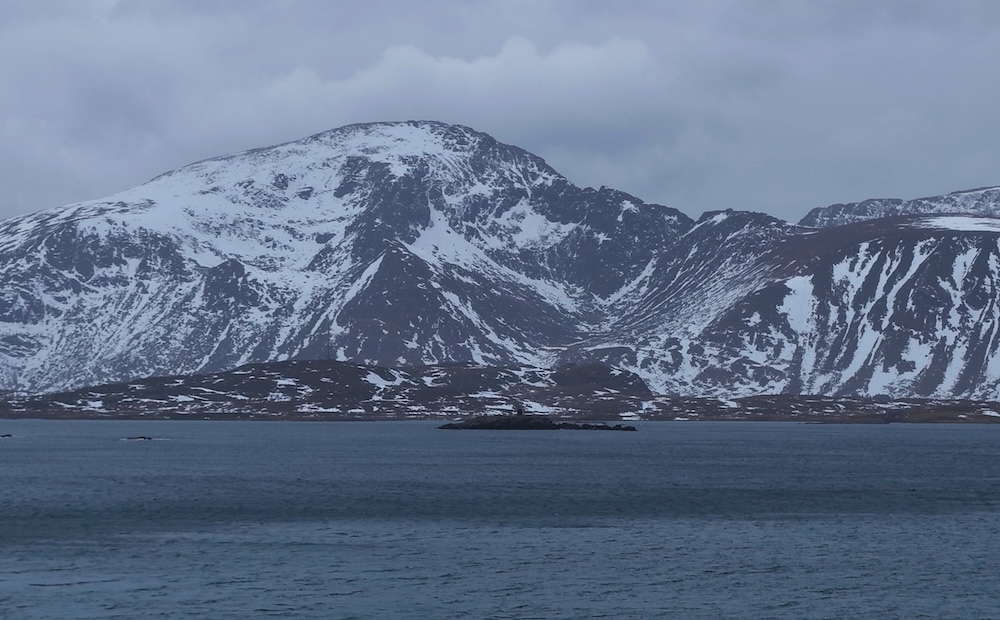 How Does the Wave Glider Operate at High Latitudes?